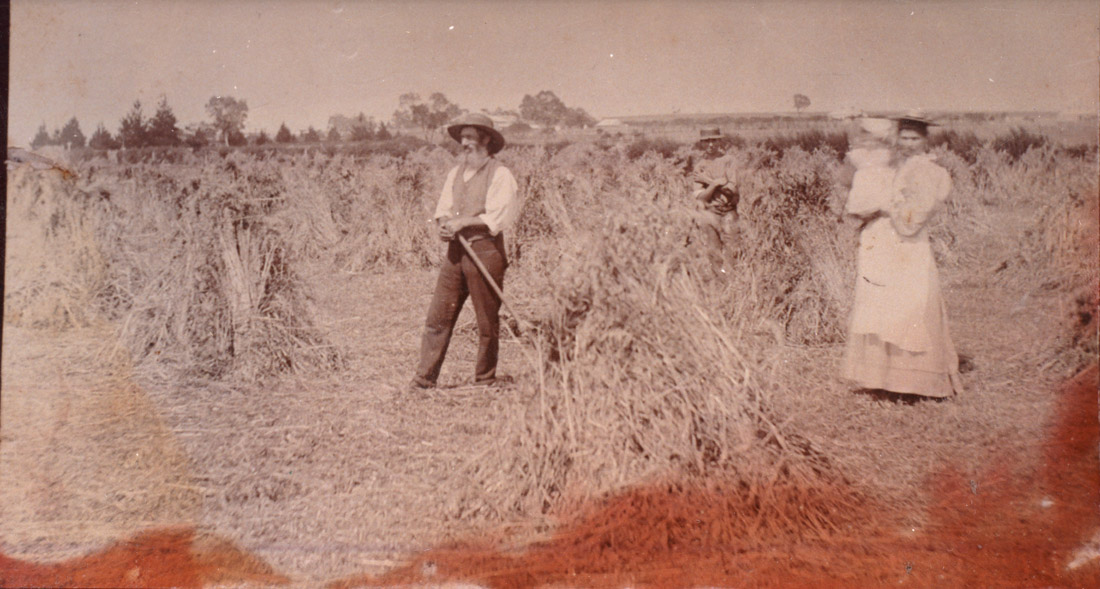 Image of Samuel 'Syd' Bartlett working on his farm in Spring Street, circa 1890