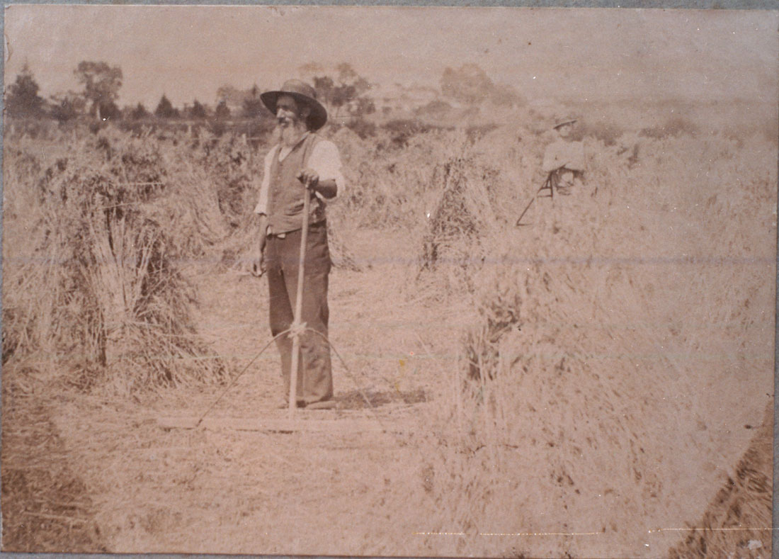 Image of Samuel 'Syd' Bartlett working on his farm in Spring Street, circa 1890s 