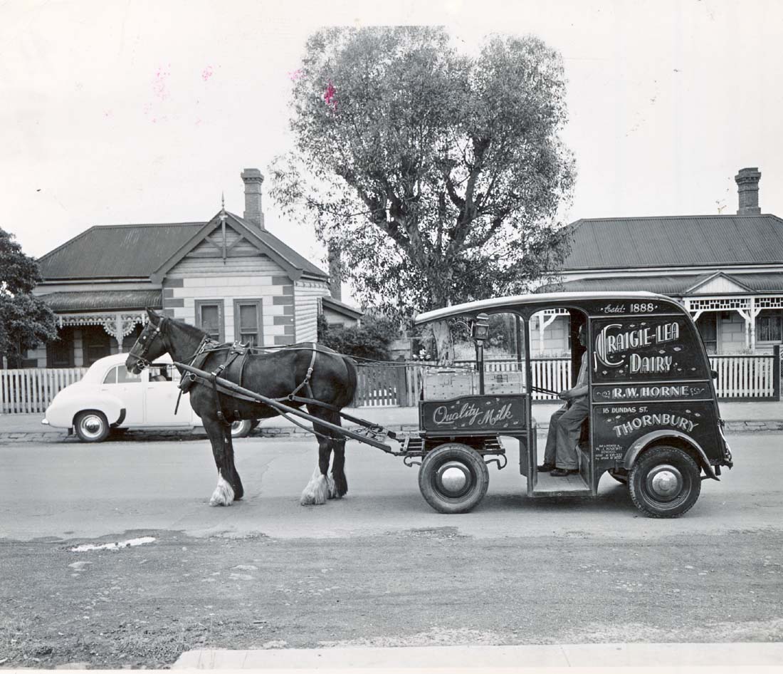 Image of Craigie Lea Dairy milk cart doing its rounds during the 1950s 