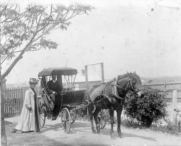 Image of Horse and carriage, Preston [PHS] [LHRN90-353]