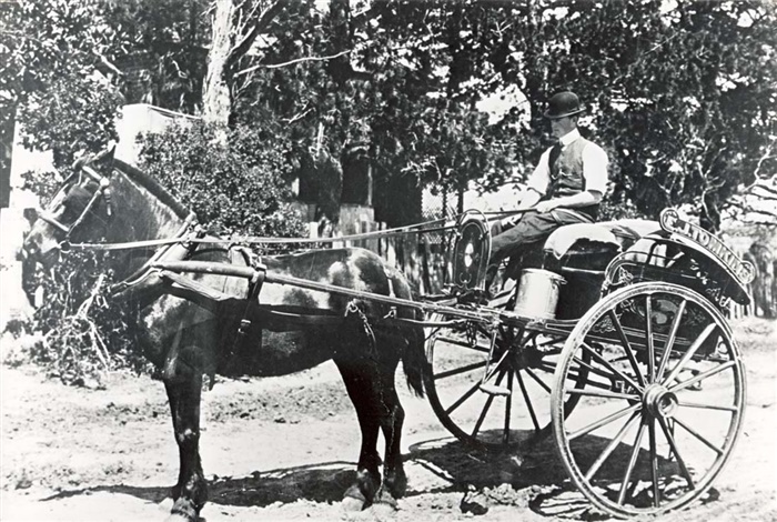Image of Tomkin's dairy cart. [LHRN304]