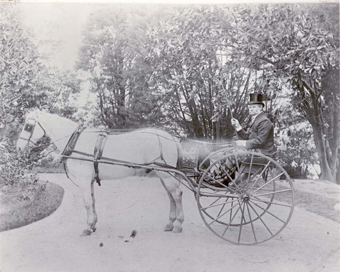 Image of Edmund Manning in the driveway of Rucker's mansion in his sulky. [LHRN1017]