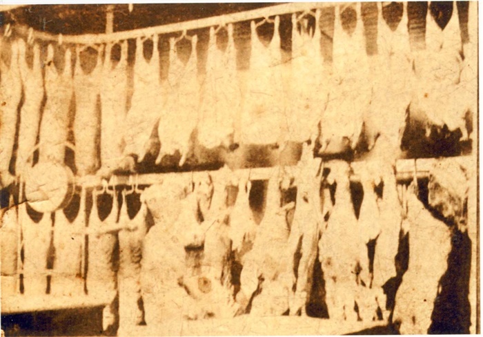 Image of Meat hanging in W.A. Tacey's butcher shop