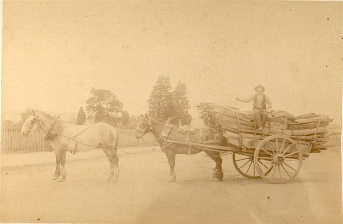 Image of a horse and cart, possibly in Separation Street c. 1880s [LHRN2110]
