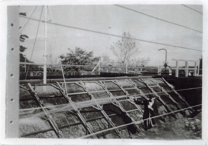 Image of Thomas Eynon cleaning water supply filters, Cheddar Road [courtesy Lenore Frost] [LHRN2261]