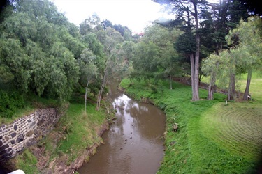 Image of Darebin Creek in Alphington, 2005. [LHRN1660]
