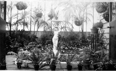 Image of Ralph Nelson's pride and joy, the conservatory garden he built at 39 Collins Street, Thornbury