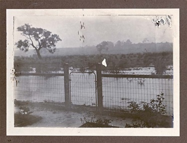 Image of flooded paddocks in Preston 1912