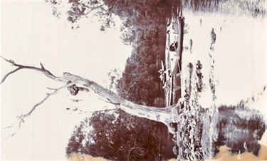 Image of Yarra River near Rudder Grange