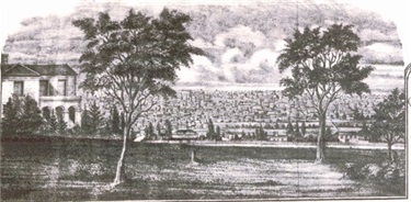 Image of a View from Westbourne Grove over Westgarth and North Fitzroy