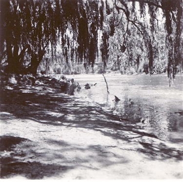 Image of Yarra River