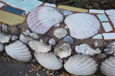 Close up of Garden edging with shells