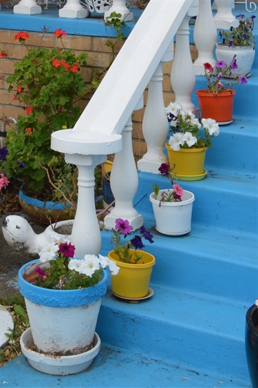 Steps at Margaret's house with blue and white pot plants