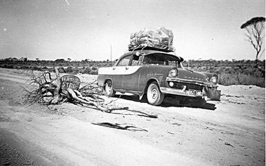 Family vehicle on the Eyre Highway 1964 [LHRN5437-41]