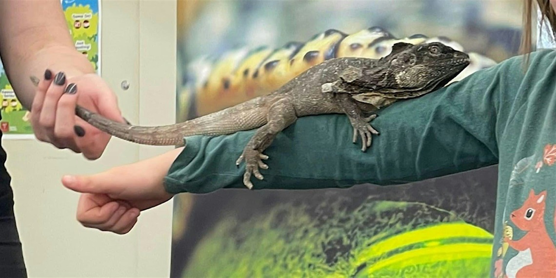 MainImage.jpg