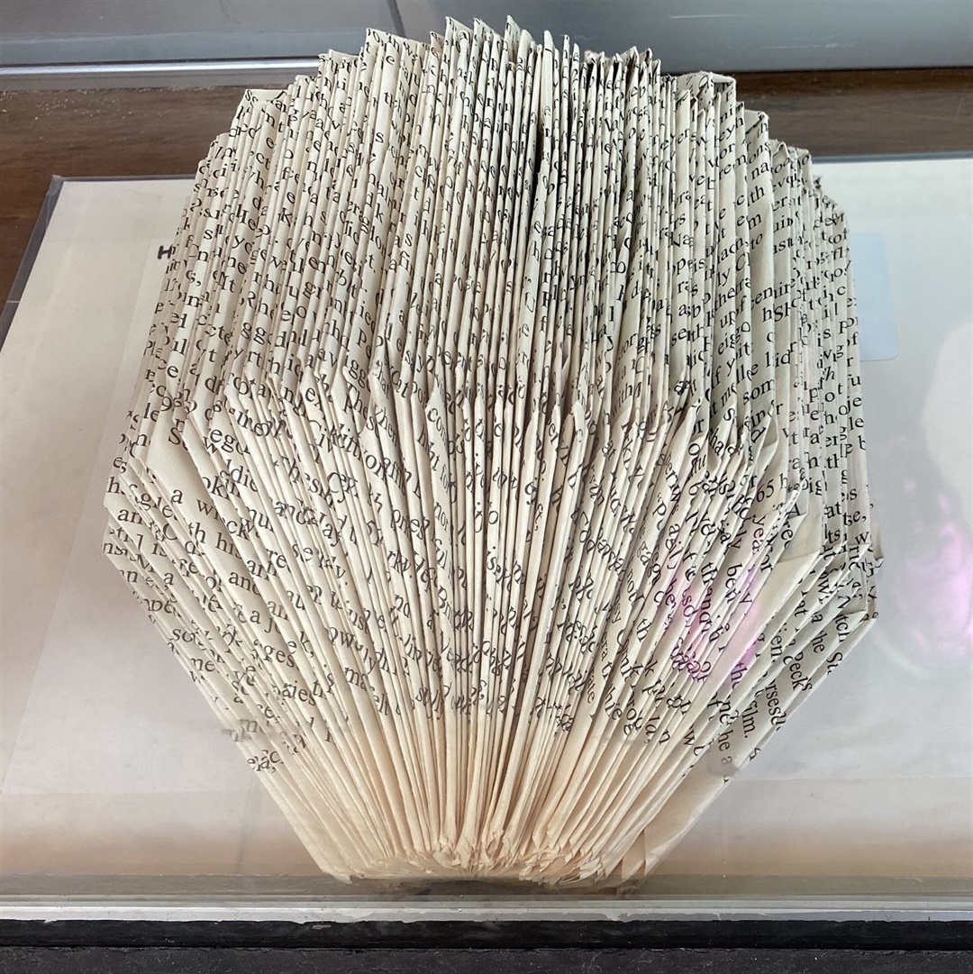 Art For All - Fairfield Primary School Darebin Libraries