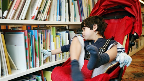 a child in a stroller browsing books